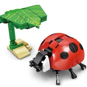 Ladybug 🐞 Insect Series Bug Collection